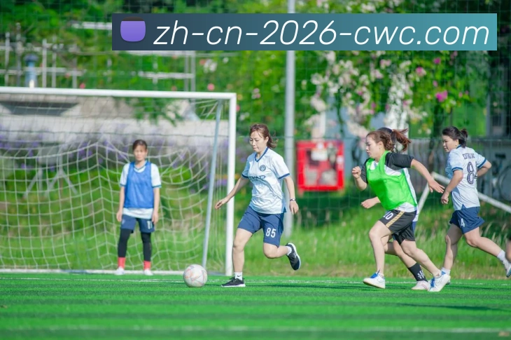 平台展示图