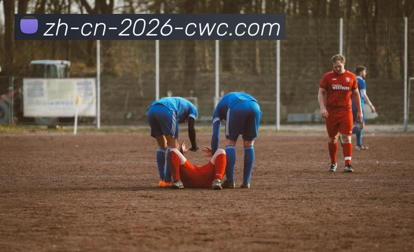 多媒体互动体验